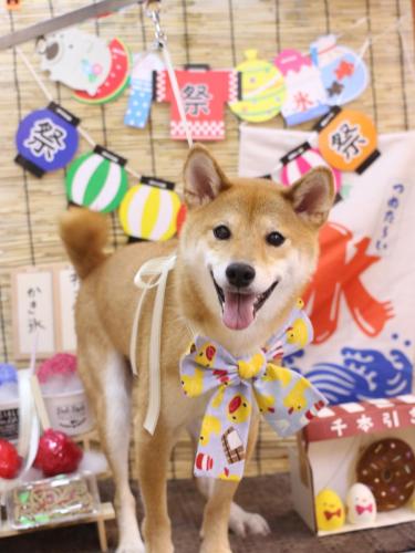 20240712れんたろうくん